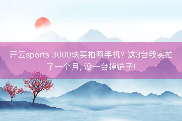 开云sports 3000块买拍照手机? 这3台我实拍了一个月， 没一台掉链子!